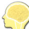 ideasponge
