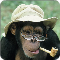 DataMonkey101