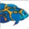 fishforit