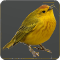 pigeelen
